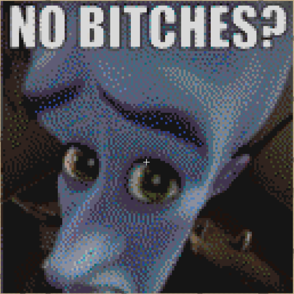 File:Mapart-no biitches.png